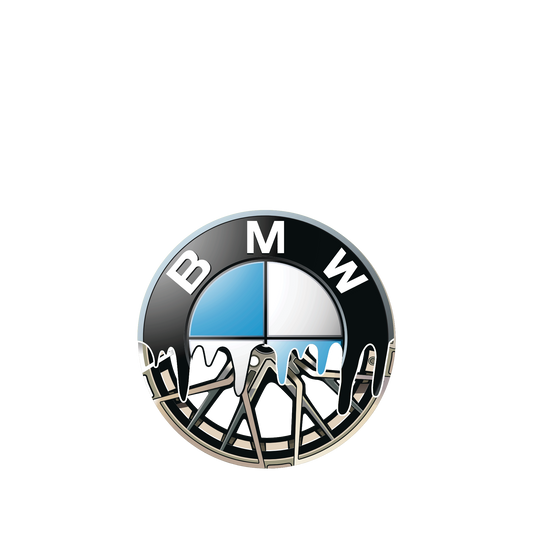 BMW Sticker